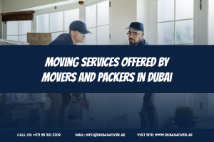 Understanding the different types of moving services offered by movers and packers in Dubai